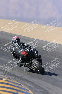 media/Nov-12-2023-SoCal Trackdays (Sun) [[5d1fba4e7d]]/Turn 10 Backside (115pm)/